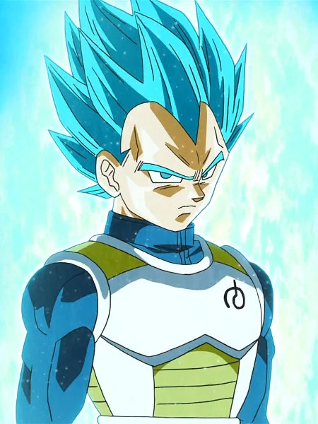Photo de Vegeta