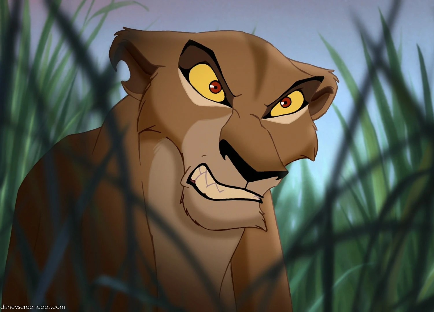 Zira
